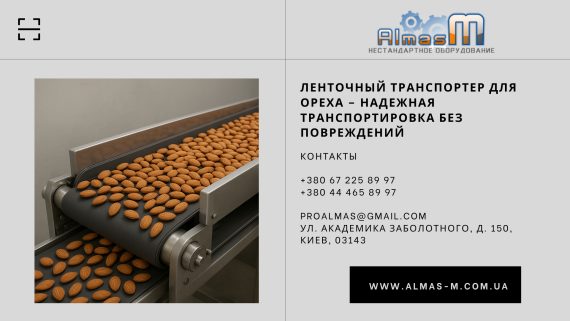 Ленточный транспортер для ореха – надежная транспортировка без повреждений